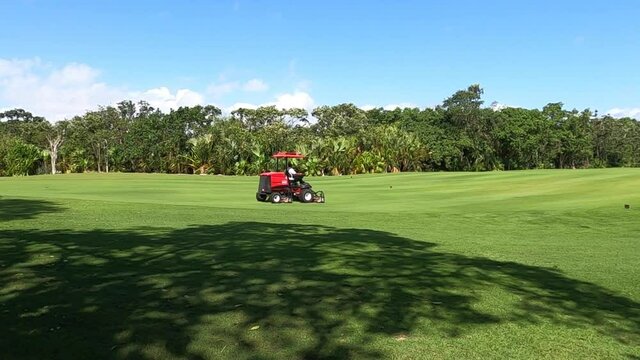Mower grass equipment working on a summer day. Lawn mowing in Playa del Carmen, Mexico. Gardener cuts green grass on the perfect golf course.