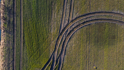 Tractor tracks on field.