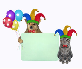Naklejka premium Pets clowns in jester hats is holding a green blank poster. April fool's day. White background. Isolated.