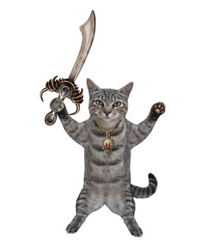 A gray cat fights with a pirate cutlass. White background. Isolated.