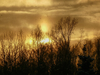 snowfall during sunset