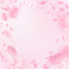 Sakura petals falling down. Romantic pink flowers vignette. Flying petals on pink square background.