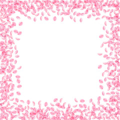 Sakura petals falling down. Romantic pink silky small flowers. Thick flying cherry petals. Square bo
