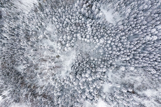 Winter snow trees tree forest woods cold season aerial photo view background