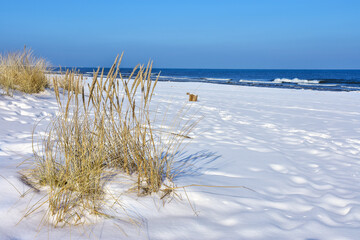 Snow on the beach and the Baltic Sea. Beautiful winter landscape 