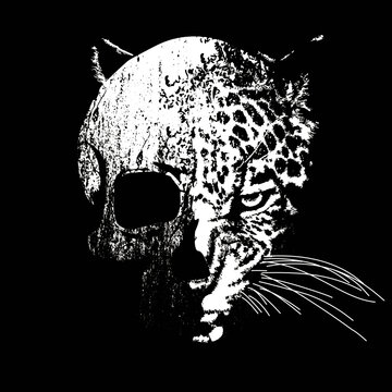 vector illustration of a human skull mixed with leopard head. Design for t-shirts or posters.