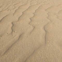 footprints in the sand