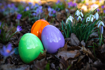 Ostereier mit schönen Farben zwischen Blumen