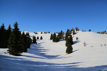 Fototapeta premium View of the landscape near the Col Dei S'Cios in Friuli Venezia Giulia, Italy