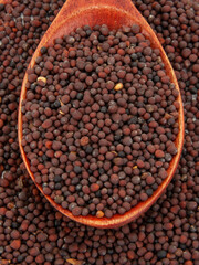Dry mustard black seeds in wooden spoon isolted on the white background