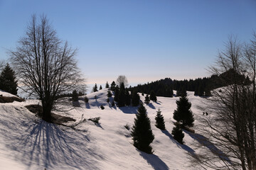 View of the landscape near the Col Dei S'Cios in Friuli Venezia Giulia, Italy