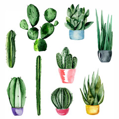 Fototapeta premium Cactus and succulents watercolor set. Template for decorating designs and illustrations.