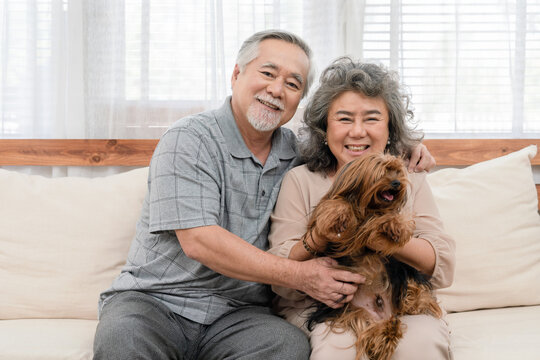 Lovely Couple Asian Elderly With Their Dog Sitting On The Sofa At Home