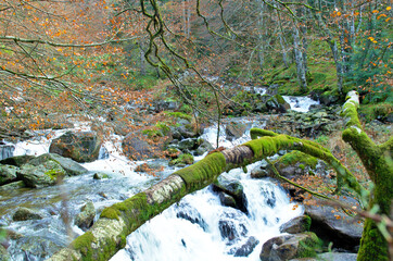 cascade