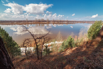 reflection of trees in the lake