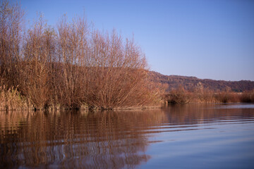 forest reflected in the lake in autumn season. wild landscape with leafless trees by the calm water