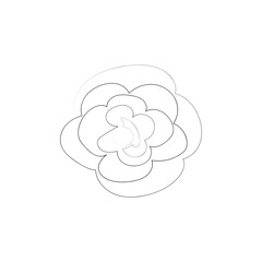 continuous line drawing of beautiful flowers