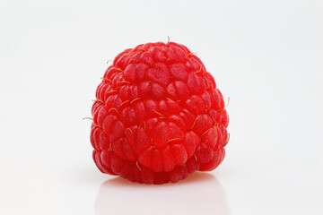 One raspberry, rubus idaeus, lying on a white table isolated on white background. Single red ripe...