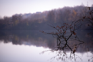 forest reflected in the lake in autumn season. wild landscape with leafless trees by the calm water