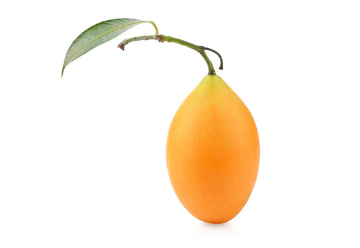 รูปภาพMayongchid - เลือกดูภาพถ่ายสต็อก เวกเตอร์ และวิดีโอ1,894 | Adobe Stock