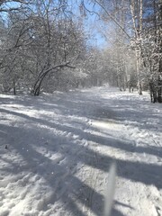 snow covered road