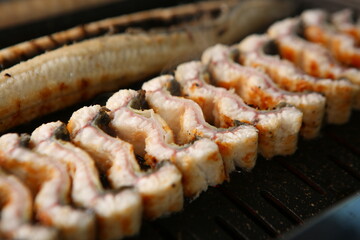 장어 eel 한국음식 korean food korea 장어구이