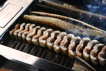 장어 eel 한국음식 korean food korea 장어구이