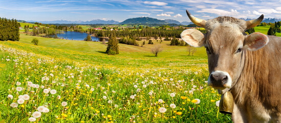 beautiful panoramic landscape at springtime in Bavaria, Germany