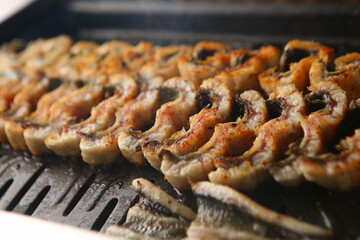 장어 eel 한국음식 korean food korea 장어구이