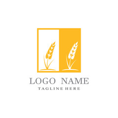 Agriculture wheat vector icon design