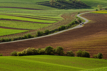 Fototapeta na wymiar Rural landscape with road