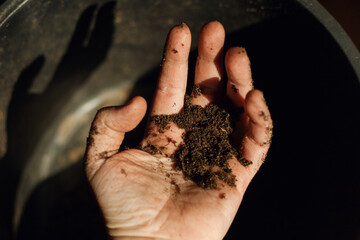 Hand covered in dirt after sowing seeds