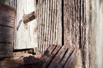 Closeup on old wood texture