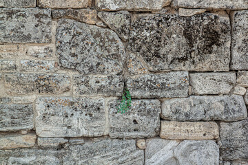 The texture of the old wall. Vintage brick back. The wall is made of shell rock of various rectangular shapes.