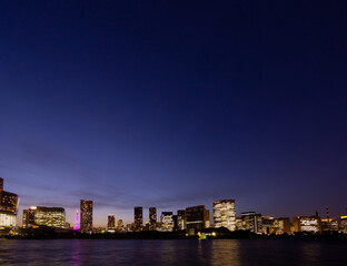 Fototapeta na wymiar 東京夜景 2021 　高層ビル群