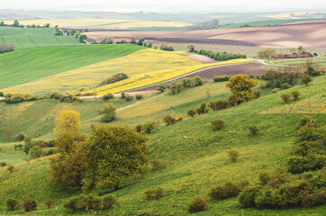 Obraz premium Rural spring landscape
