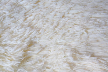close up of fur texture of White short fur. White abstract background. White artificial fur as merino skin.