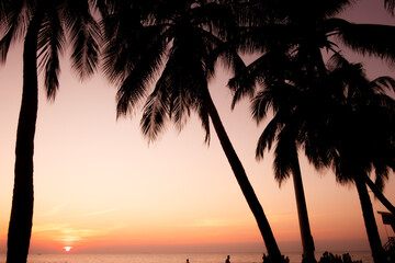 Beautiful tropical beach with palm trees silhouettes at sunset.