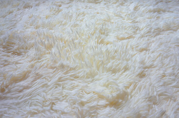 close up of fur texture of White short fur. White abstract background. White artificial fur as merino skin.