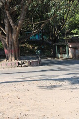 beach in the morning