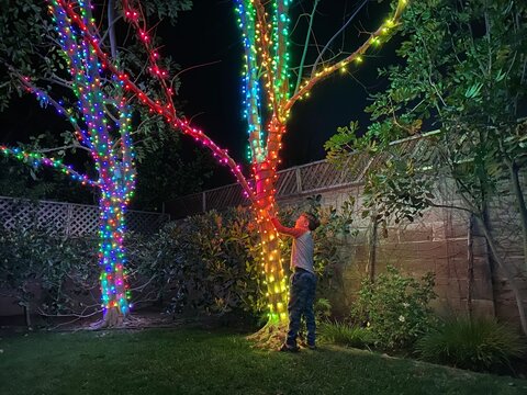 child looking up in wonder at tree wrapped color lights