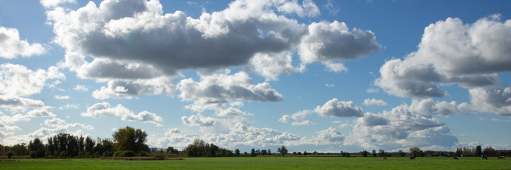 A skyscape with cumulus clouds in white and grey and a clear deep blue sky in the summer