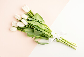 Top view of white tulips on double colored background