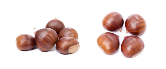 Chestnuts isolated on white background