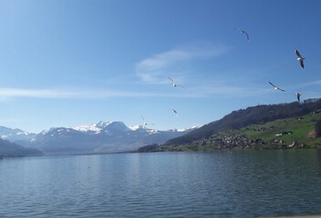 lake and mountains