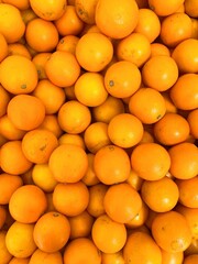 Orange fruit background. Group of fresh fruit.