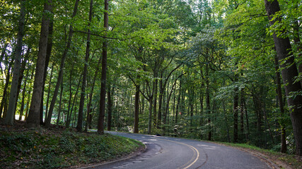 Obraz premium road in Rock Creek Park