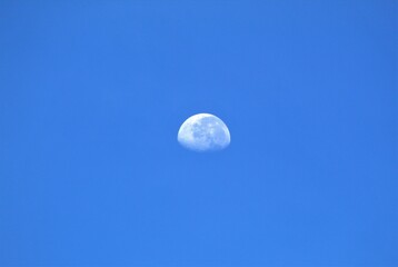moon in the sky