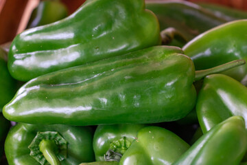 Pimentão verde.