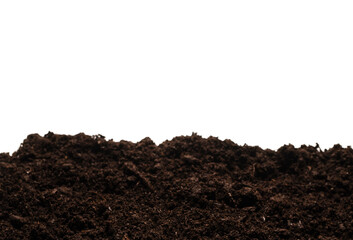 Black land for plant.